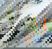 Josef Chromy Wines Winery Tour Including Tasting and Lunch - Australia Accommodation