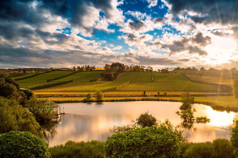 Josef Chromy Wines Winery Tour Including Tasting And Lunch - Australia Accommodation 3