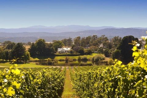 Josef Chromy Wines Winery Tour Including Tasting And Lunch - Australia Accommodation 4