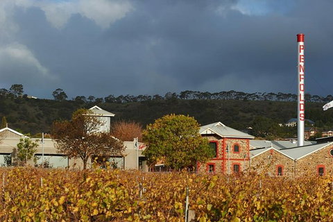 Penfolds Magill Estate Iconic Experience - Australia Accommodation 3