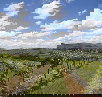 Hunter Valley Wine Tour from Sydney incl Lunch Cheese Chocolate and Distillery - Australia Accommodation