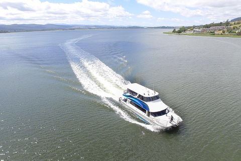 2.5 Hour Morning Discovery Cruise Including Sailing Into The Cataract Gorge - Australia Accommodation 2