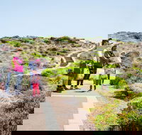 Margaret River Coastal and Wildlife Eco Trip from Busselton or Dunsborough - Australia Accommodation