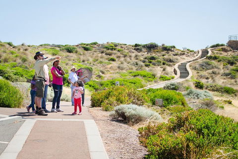 Margaret River Coastal And Wildlife Eco Trip From Busselton Or Dunsborough - Australia Accommodation 0