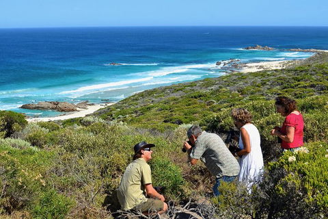 Margaret River Coastal And Wildlife Eco Trip From Busselton Or Dunsborough - Australia Accommodation 2