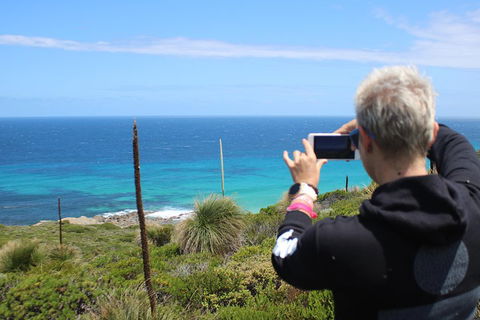 Margaret River Coastal And Wildlife Eco Trip From Busselton Or Dunsborough - Australia Accommodation 3