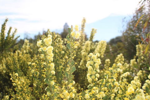 Margaret River Coastal And Wildlife Eco Trip From Busselton Or Dunsborough - Australia Accommodation 4