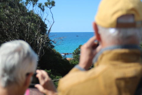 Margaret River Coastal And Wildlife Eco Trip From Busselton Or Dunsborough - Australia Accommodation 5